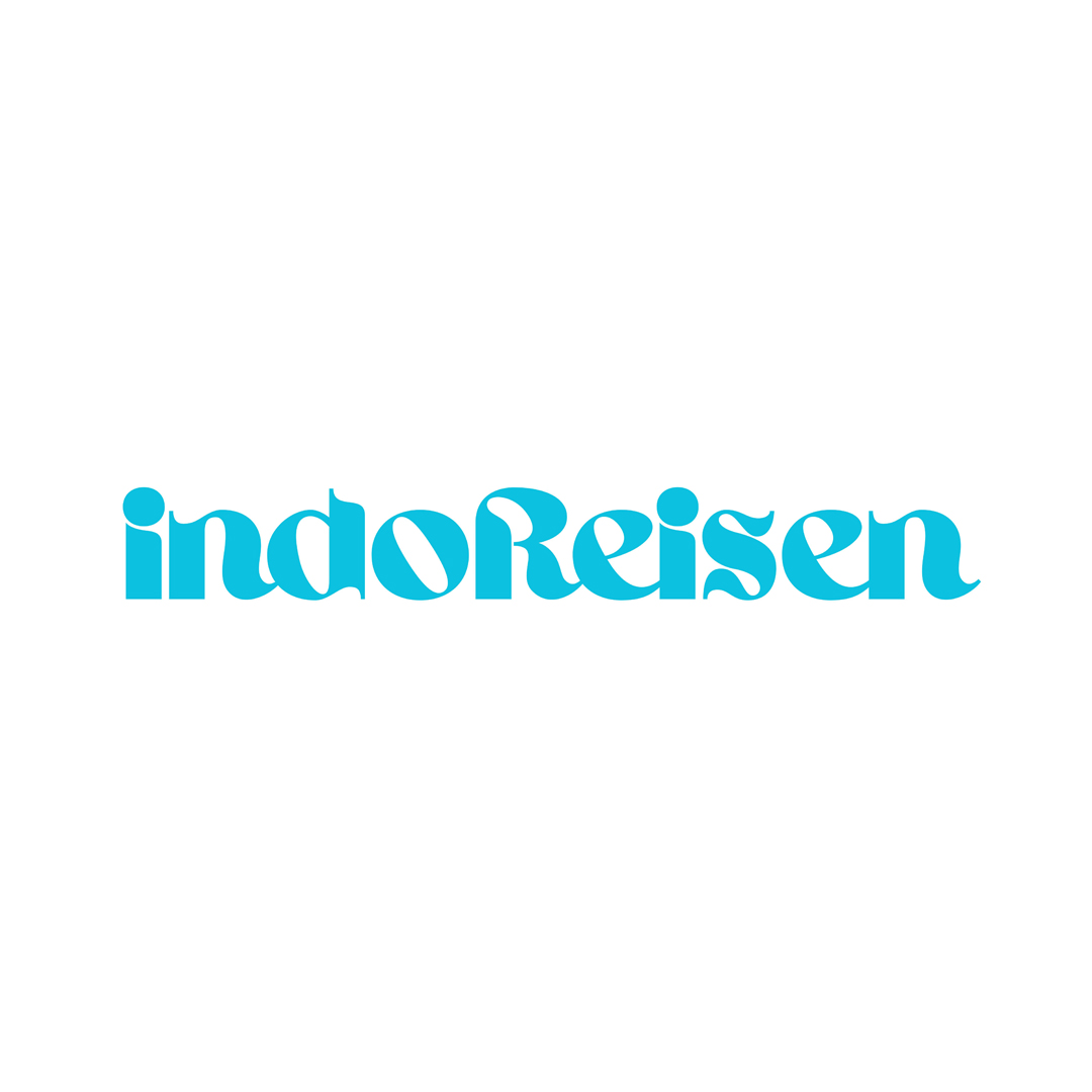 Logo INDOREISEN